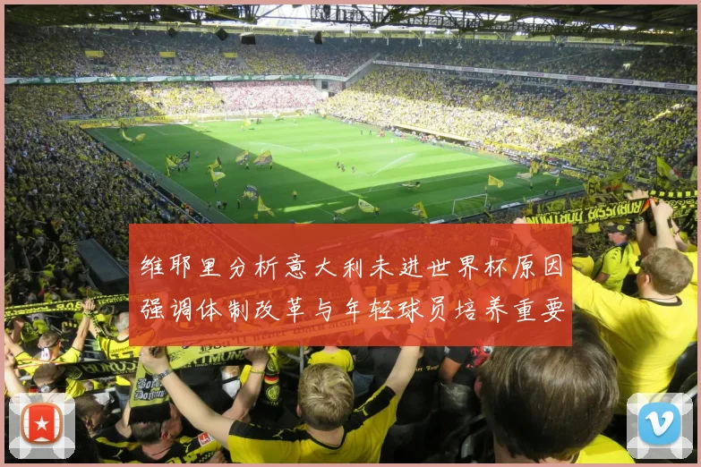 维耶里分析意大利未进世界杯原因强调体制改革与年轻球员培养重要性