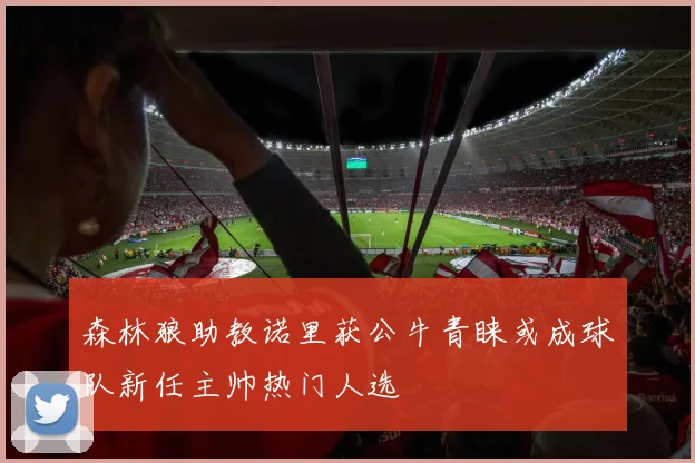 森林狼助教诺里获公牛青睐或成球队新任主帅热门人选