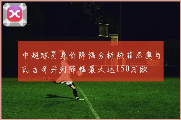 中超球员身价降幅分析热菲尼奥与瓦吉奇并列降幅最大达150万欧